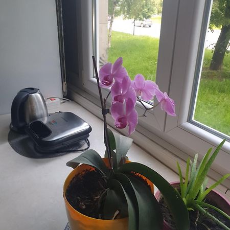 Apartman Oli SJJ Eksteriør bilde
